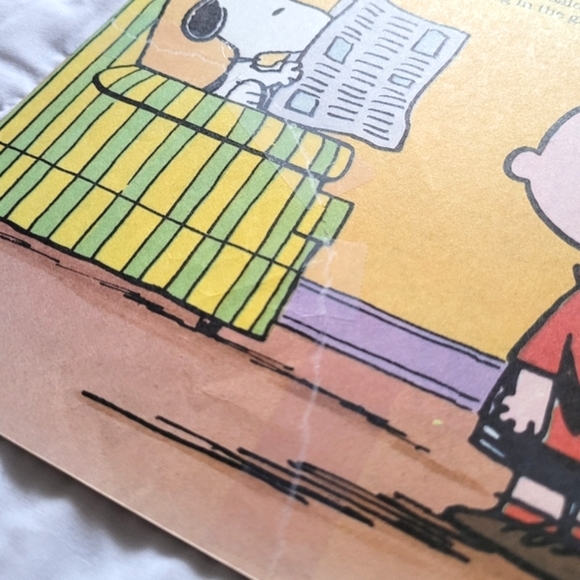 3/$15 🌸 Snoopy & Friends: Come Back, Snoopy - Picture 8 of 9